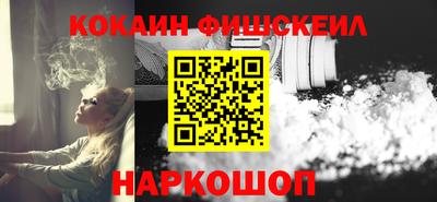 шишки Бийск