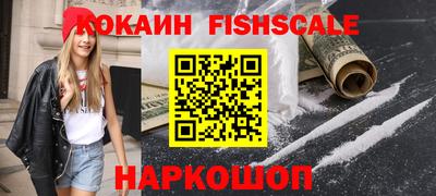 шишки Бийск