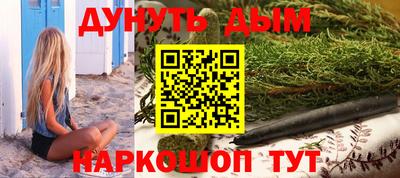 шишки Бийск