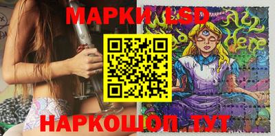 шишки Бийск
