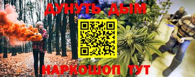 шишки Бийск
